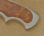 HarpagornisKnauf1