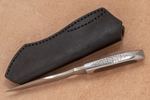 Taitafalk-anatomic Dualis-Gravur
